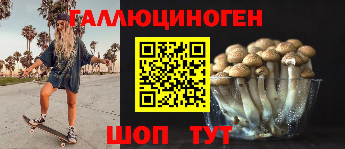 Славгород  Галлюциногенные грибы Cubensis  Вход с VPN 