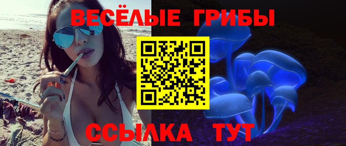 Галлюциногенные грибы GOLDEN TEACHER Славгород
